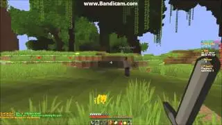 MCSG 
