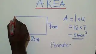 Area and Perimeter of the rectangle.