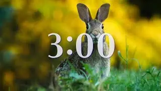 3 Minute Timer - Animals