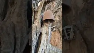 Agiofaraggo Canyon, Crete, Greece, way from parking to the beach. Video 4K