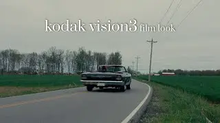 Kodak Vision3 film look (BMPCC 6k PRO)