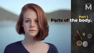 Learn Basic English for Adults | Parts of the Face | Part 1