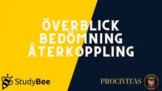StudyBee: Del 5 - &Ouml;verblick, bed&ouml;mning och &aring;terkoppling