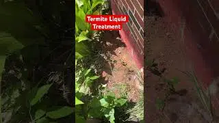 Termite liquid treatment ￼ #termitescontrol #pestcontrol #termitetreatment