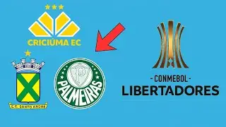 ⚽  Times da Série B Que Jogaram a Libertadores ( Inacreditável )