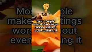 You&rsquo;re Treating Bee Stings Wrong 🐝