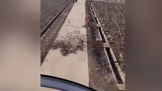 Helicopter Pilot Helps Sweep Leaves