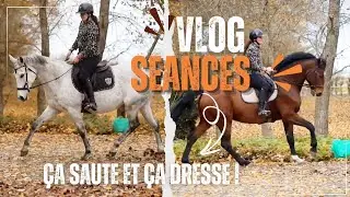 {SÉANCES} OBSTACLE AVEC LES DEUX CHEVAUX ✨️🍁