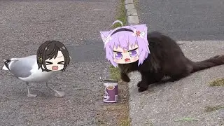Subaru d̶u̶c̶k seagull stealing Okayu cat food | Animal hololive