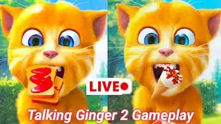 Talking Ginger 2 Gameplay | Live Streaming |