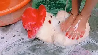 Requested taddy bear 🐻 crossing video 🥰👍 crush kaise kre