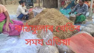 Mushroom farming কাঠফুলাৰ খেতি কৰা সময এতিয়া🤗