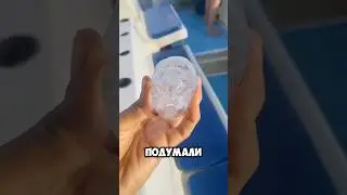 Как это прозрачное существо замедляет потепление