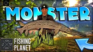 OVA RIBA JEDE SAMO RIBLJE GLAVE! - Fishing Planet ELDERGAR MONSTER HUNT