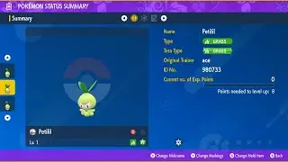 surprise trade sunday SV-Petilil