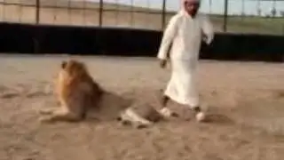 Crazy Arab rides his pet lion
