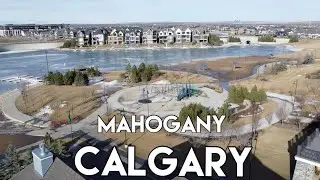 DRONE VIEW MAHOGANY LAKESIDE COMMUNITY CALGARY, ALBERTA, CANADA #Calgary #Alberta