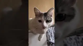 БусЯ