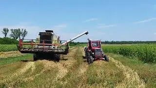 CLASS DOMINATOR 108 SL - Vrsidba psenice 2023 HD