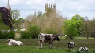 A walk by the River Thames at Oxford