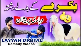 Bakre Ke Badly Rishta ( Layyah Digital ) New Comedy Sariki Video 2023 | Must Watch Funny Clip.