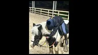 LCS Testing roblox horse game !