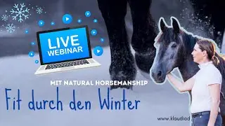 Fit durch den Winter ❄️ Gymnastizierung f&uuml;r dein Pferd #Muskelaufbau #Horsemanship #Pferdetraining