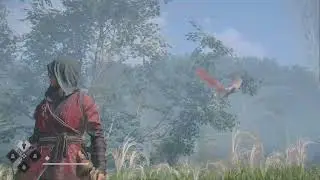 Assassin's Creed Shadows Bird Flying But Not Moving Glitch