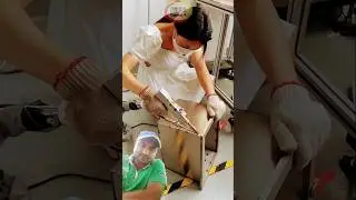 The girl of bellding new save #stickwelding #greenvlogs