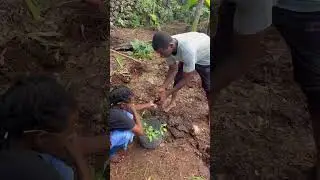 Permaculture Practices: Hands-On Workshop at Assalam