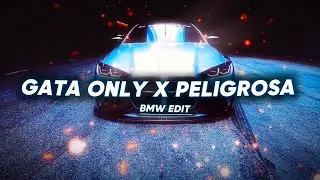 BMW EDIT । GATA ONLY X PELIGROSA । $ Dragon BMW 🔥