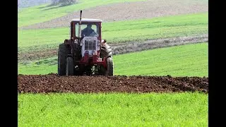 Thüringen überweist 217 Millionen Euro Agrarzahlungen an Betriebe