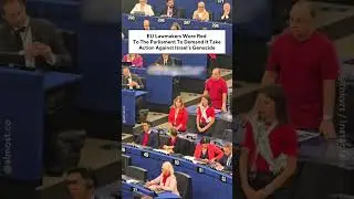 EU Lawmakers Wore Red To The Parliament To Demand It Take Action Against Israel&rsquo;s Genocide