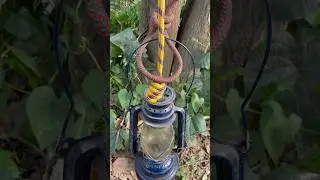 Smart Tricks & Tips Skills