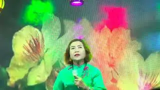Đan Áo Mùa Xuân  _  Mỹ Khanh 