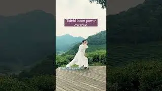 Taichi inner power exercise.