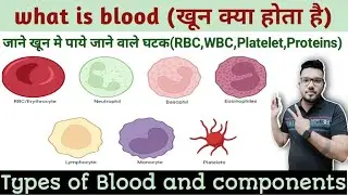 What is blood (रक्त) || RBC || WBC || Platelets || Plasma || Function of Blood ||
