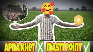 Apna Khet ❎ Masti Point ✅ | Murga Pakadte Pakadte Halat Kharab 😱😂
