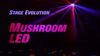 MUSHROOM LED 照明エフェクト / STAGE EVOLUTION