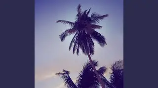 This Is Tropical Summer