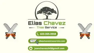Elias Chavez Tree service.  Tree Trimming,Tree Removal,Stump Removal❗   🌳⭐✅