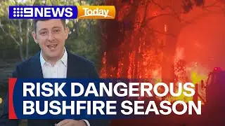 East coast at risk of having most dangerous bushfire season since 'Black Summer' | 9 News Australia