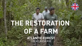 Stories of the Atlantic Forest Great Reserve | S1E10 - The restoration of a farm