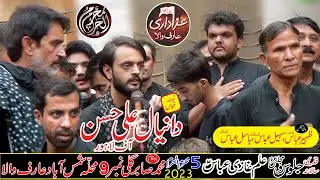 Daniyal Ali Hassan 5 Muharram 2023 Jaloos | Mohalla SHAMS ABAD ARIFWALA | @ Arifwala Azadari