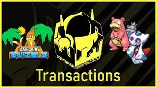 A RETURNING MEMBER? // NCL Transactions Update