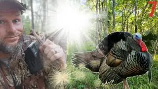 An All-Out Battle with an Old Public Land Gobbler