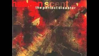 The Perfect Disaster - Wires