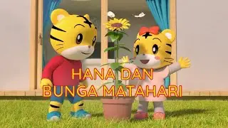 Hana dan Bunga Matahari | Kartun Anak Bahasa Indonesia | Shimajiro Bahasa Indonesia
