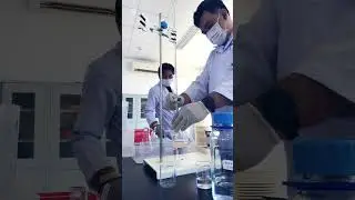 Learning and testing of food science 🧬 🧪🧫