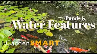 GardenSMART Tips, Ponds and water features